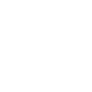 Vibrator