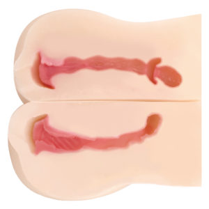 特性の違う２つの膣道と、肉塊に挟まれるすき間を備えた３穴仕様。２重構造ならではのネットリした粘膜感も◎。